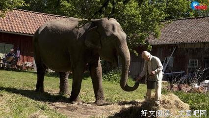 最全的九把刀名人名言