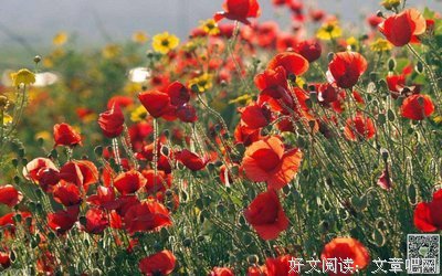 有关也顾偕的名言