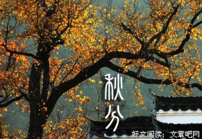 关于不知名的句子