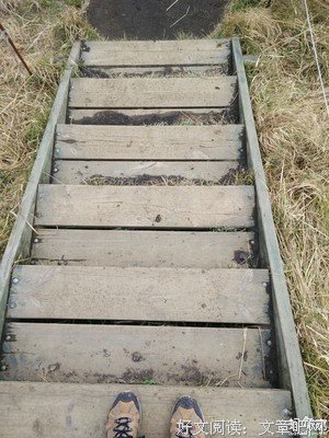 独居冰岛的一年读后感10篇