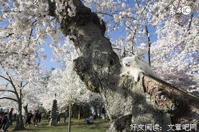 15条关于遥不可及的经典语句