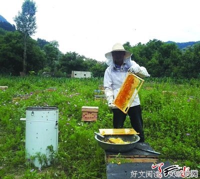 柳泉的句子