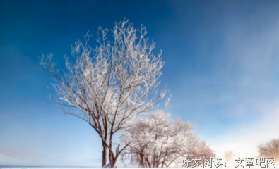 二次元经典名句