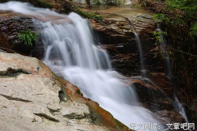 落英花开九泉见句子