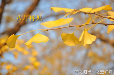 关于散文的句子