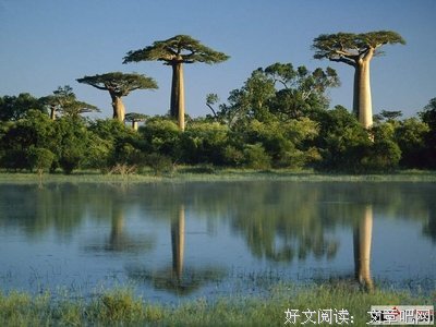 柏气孩为图哲思句子大全