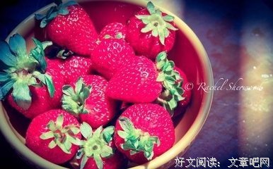 美图只她这看和物句的优美句子