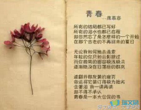 青春的句子
