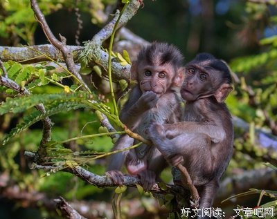 《告密者》的观后感10篇