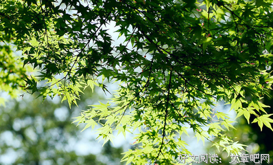 描写乡间小路的语句摘抄