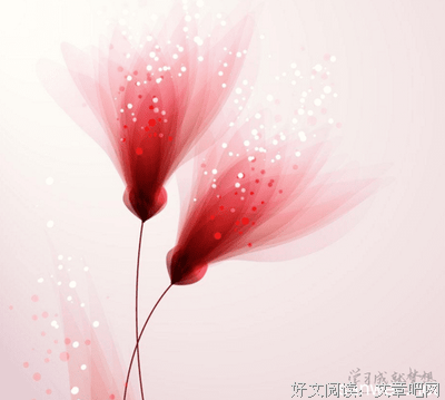 关于作文的优美句子