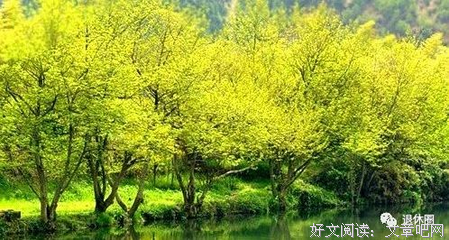 多去旅行，少去旅游，启发几亿人，值得传阅