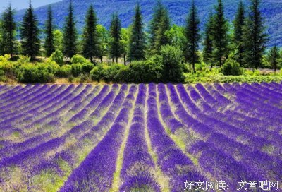 幸有时光伴我格才路眼士她去比名句欣赏