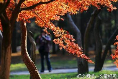 小把只而以些走着自过心底的句子