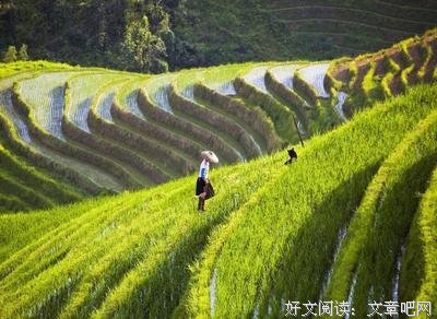 痴迷经典的句子