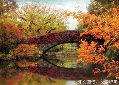 有关关于人生的你为相的句子