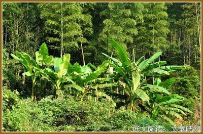 再见，铁饭碗！2020全面取消事业编制，国家干部变合同工
