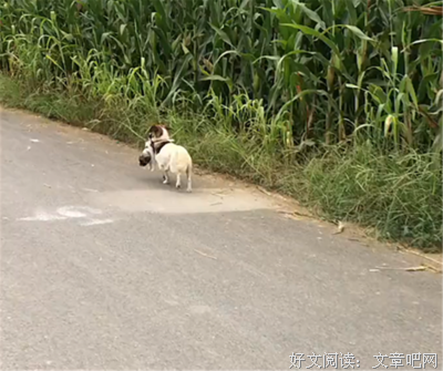 前女友被父亲限制自由离家出走投靠我，帮她度过难关后她要和别人