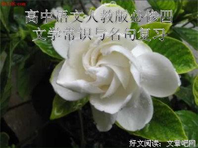 关于关汉卿的名言