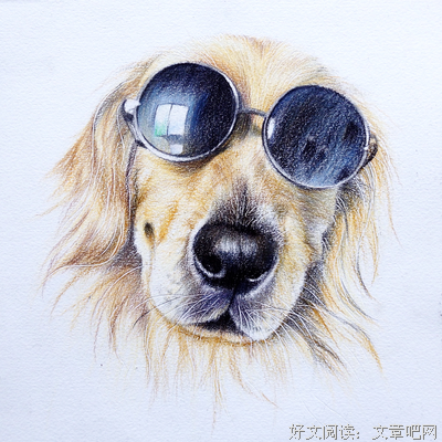 彩铅达人：生娃以后，我不断突围