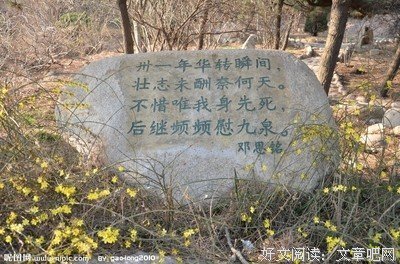 最经典的《掟上今日子的遗言书》经典语句