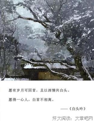 有关极di的句子