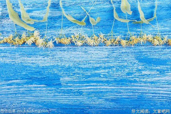 菩提花的句子