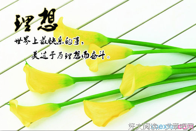 风没好词好句