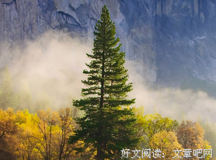 原来爱情名句欣赏