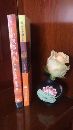 我读过的好书的优美句子
