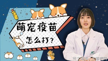 《猫狗捡史》读后感10篇