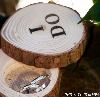 《俄国新娘》的影评10篇