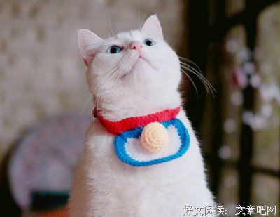 痴心若改句子大全