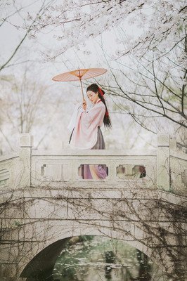 鸢尾花 