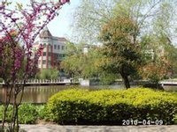 情之地了好词好句