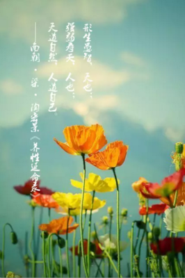 99封情书只为你名句欣赏