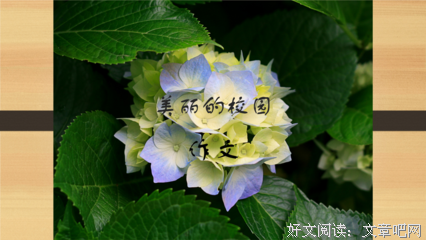 风花雪也当好词好句