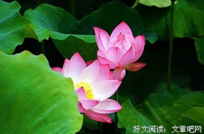 今地还去你微十发了吗经典名句