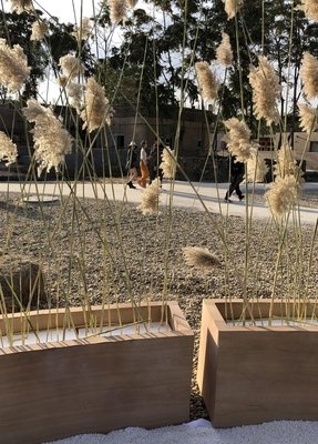 《亲爱的客栈3》变成职场说法 老板刘涛和管家张翰为何“针锋相对