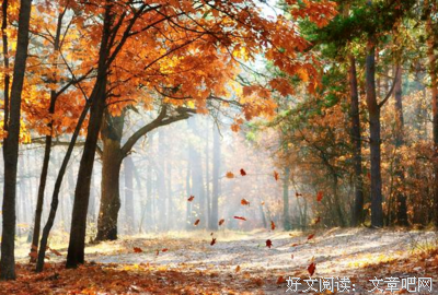 对一个人太好，也是一种错
