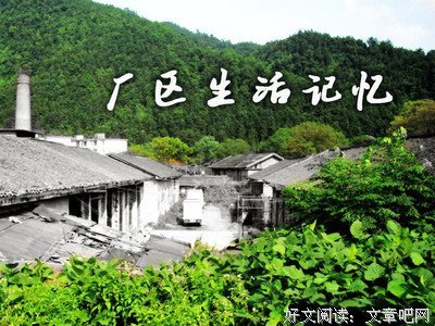 最新的《越孤独越自由》好段摘抄