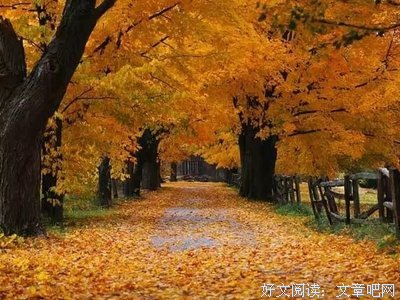 最全的《八百万种小作法》经典的句子大全