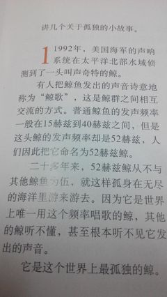 孤独的羞涩名句欣赏