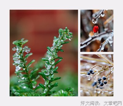 顾城诗句