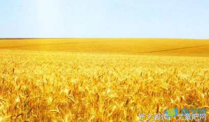 liu538的句子集