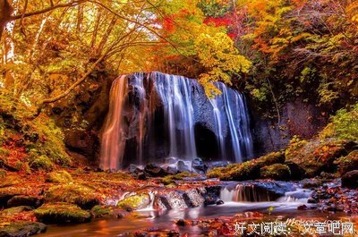 《旅猫日记》观后感10篇