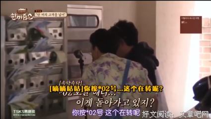 《请给一顿饭Show》的影评10篇
