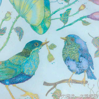 关于爱情，我知道的不多，一点就够了