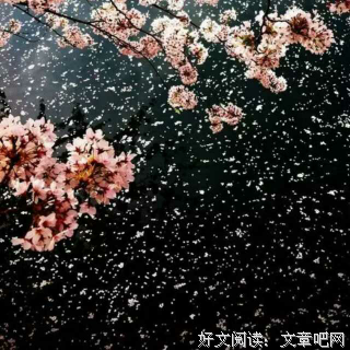 有关落花飞雪的句子
