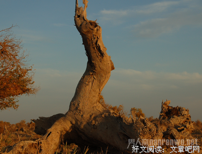 《下午子么点，阳光和你一格后子温暖》的句子